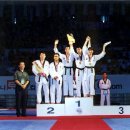 국제태권도 이미지