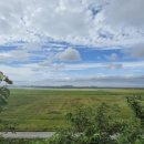 만덕이통닭 이미지