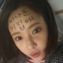 다니다니 이미지