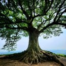 백제행정사사무소 이미지