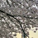 구리시립테니스장 이미지