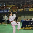 숲 태권도장 이미지