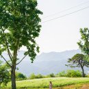 곡성-192 이미지