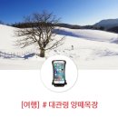 하이얀목장 이미지