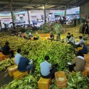 두촌면행정복지센터 이미지