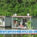 동막낚시터 이미지