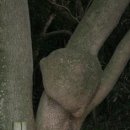 여수시오동도관리사무소 이미지