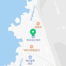 스테이 376(stay 376) 이미지