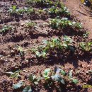 도농농장 이미지