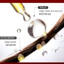 토탈헤어세일