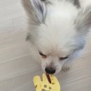 수돈까스 이미지