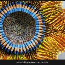 몽당연필 이미지