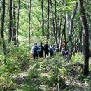 오지산행의 오지산행(운수곡→죽엽산→상추곡→종류산→늘목고개→장재골) 이미지