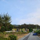 포레스트 월악 이미지