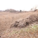 충주댐주유소 이미지