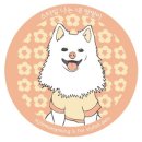 스타일 멍멍 이미지