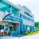 장천마을캠핑장 이미지