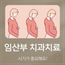 미켈란치과의원 | 임산부 치과치료 시기가 중요해요!
