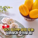 이레청과 | 여름 과일 아기 참외 언제부터 효능과 임산부 섭취량 정리