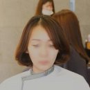 머리하늘날 네이버블로그