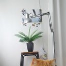 21그램 반려동물장례식장 이미지