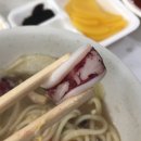 번개반점 이미지