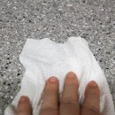 에코푸루스 이미지