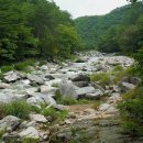 늘푸른계곡 이미지