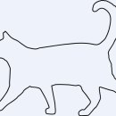 고양이병원 소설 이미지