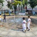 중앙태권도체육관 이미지