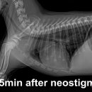 닥터펫 동물의료센터 이미지