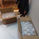 피아첼음악학원 이미지