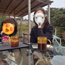 목인박물관 목석원 | [서울 단풍가볼만한곳] 단풍절정인 "목인박물관 목석원"