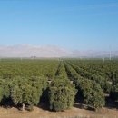 선은농장 이미지