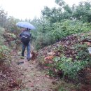 월천리 마을회관 이미지