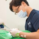 신치과기공소 이미지