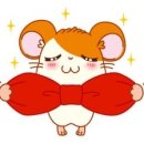 스티 카카오 검색결과