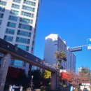 세븐일레븐(양주한양수자인점) | 양주 한양수자인2차 터닝도어 교체 후기｜처지고 닫히지 않던 베란다 문, 제대로 해결했습니다