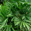 장산닥터남비뇨의학과의원 이미지