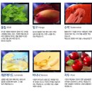 신월동115 이미지