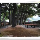 남양초등학교태하분교장 이미지