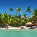 타히티 카카오 검색결과