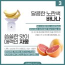 상남과일 이미지