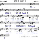 청춘을돌려다오