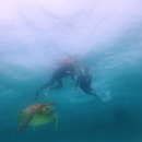 반딧불이 캠프 | 보홀 여행기(7) - 로컬페이지 투어(feat. 발리카삭 호핑+나팔링 정어리 &amp; 반딧불이투어)