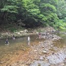 종남산장 | 전주 근교 계곡 맛집 완주 [종남산장] 백숙 내돈내산 후기