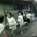 비야비야 이미지