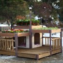 꿈꾸는 강아지 이미지