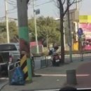 밝은동물병원 이미지