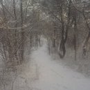 거야농장 이미지